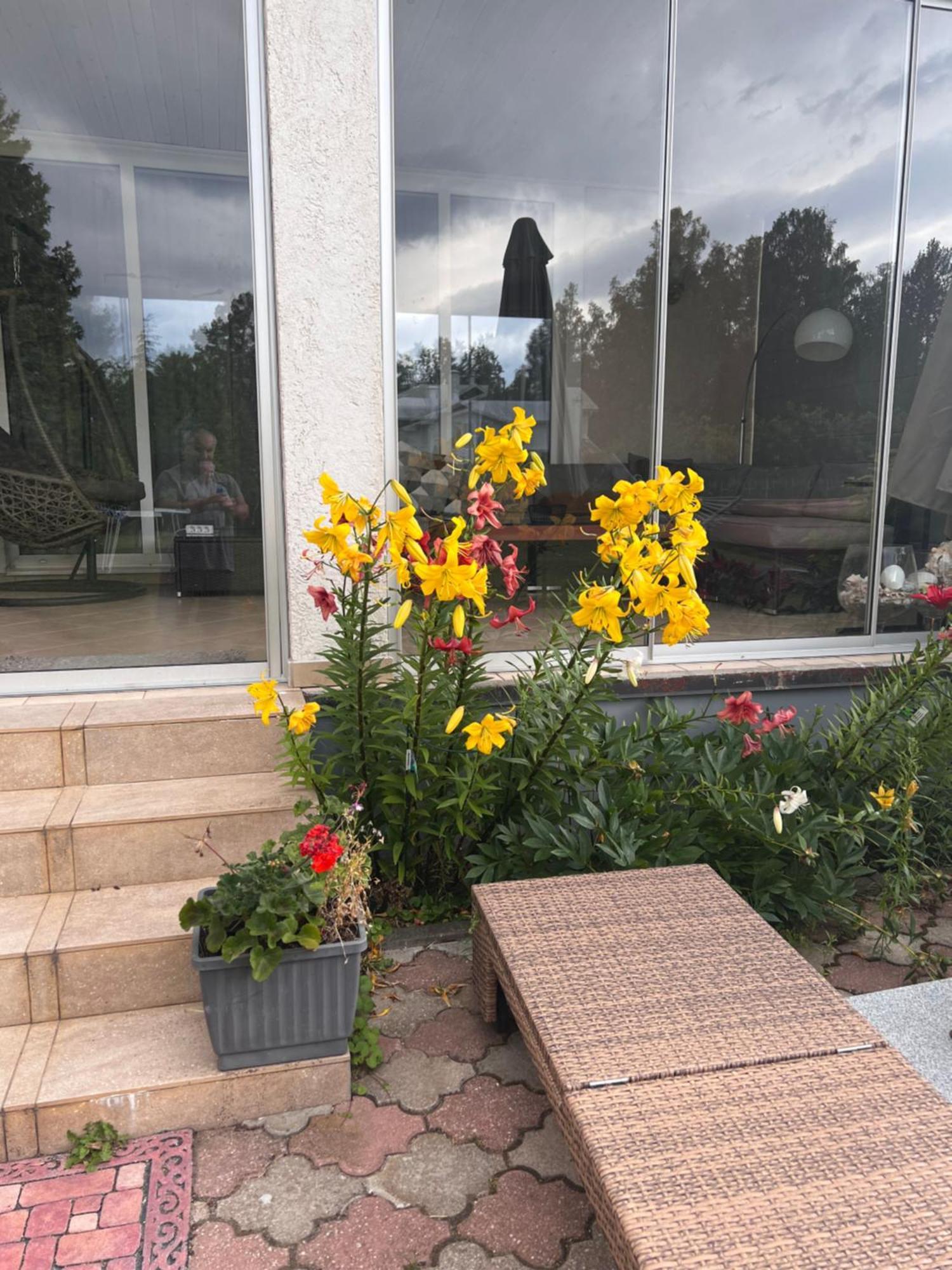 Apartament Friendly House In Jurkalne